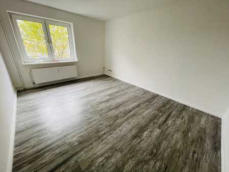 Single wohnungen magdeburg